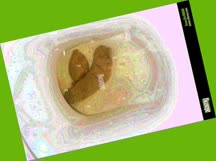 thumbnail of iBR2Q9l4W90UuicJ.jpg