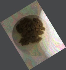 thumbnail of 1GDqAIm0g2LidTnOB.jpg