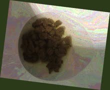 thumbnail of 4vRZL3IoP.jpg