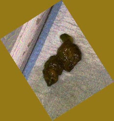 thumbnail of mCHIOSFla1CEg46Cjq.jpg