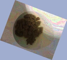 thumbnail of QPtOIsmR9vJ.jpg