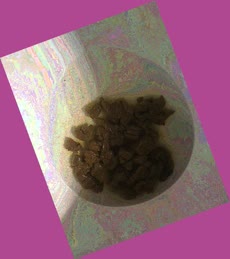 thumbnail of orfKUS3eAL.jpg