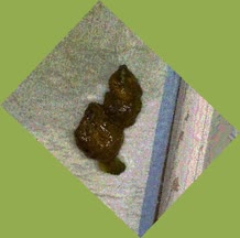 thumbnail of fvCFCqv.jpg