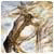 thumbnail of 100.gif