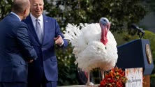 thumbnail of Biden-turkey-2-3428038153.jpg