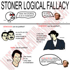 thumbnail of stoner logic fallacy.png