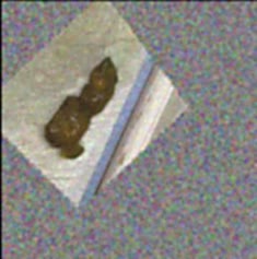 thumbnail of YSSqzUo.jpg