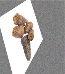 thumbnail of IYmAibHO.jpg