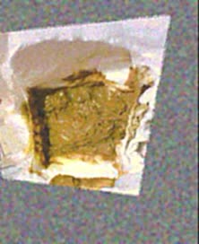 thumbnail of sTs1FDT9Pv6IochFMV.jpg