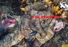 thumbnail of puknum.jpg