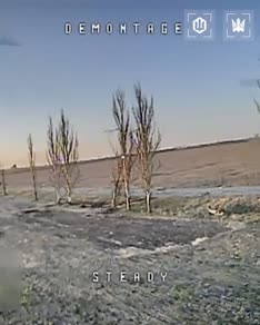 thumbnail of 78955676.mp4