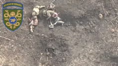 thumbnail of 198451435.mp4