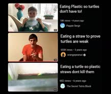 thumbnail of plastic turtles.jpg