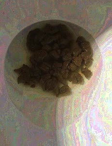 thumbnail of 2qWnsFiDSpi.jpg