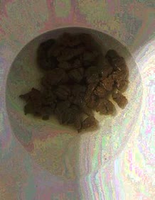 thumbnail of DjpJLCZUqnnH6W.jpg