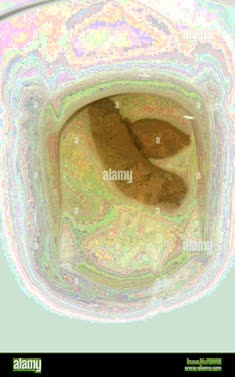 thumbnail of XEkdRV0.jpg
