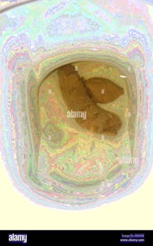 thumbnail of RdIwxFr.jpg