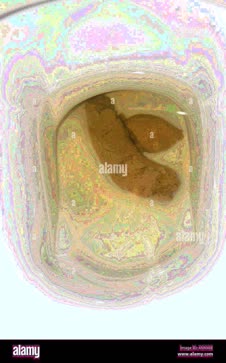 thumbnail of ZSAqA3cAM.jpg