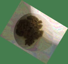 thumbnail of C5gGeiKgo6Q.jpg
