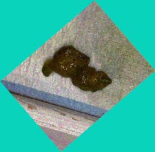 thumbnail of dr4wJ3.jpg
