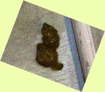 thumbnail of 8trZJG.jpg