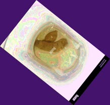 thumbnail of 2oPplEwUSs.jpg