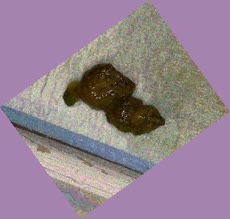 thumbnail of E1C4fFGl.jpg