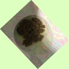 thumbnail of bwMmg.jpg