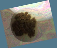 thumbnail of 4zUQ9g1.jpg