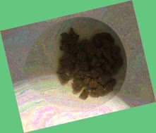 thumbnail of i3jLX3SGm3yOp3.jpg