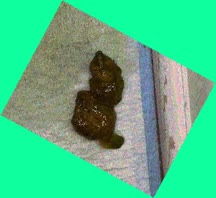 thumbnail of X9gKMXroeXMmx.jpg