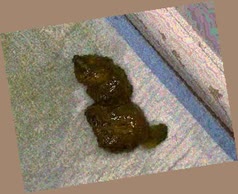 thumbnail of P6fdRJ5bJfmsK.jpg