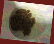 thumbnail of nhWymYYz6a3rMRwn.jpg