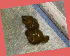 thumbnail of 5l1cI.jpg