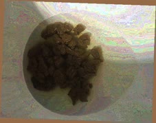 thumbnail of rY6ygrRXz6SFACq.jpg