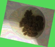 thumbnail of J4wI96RwmaNjhDljb.jpg