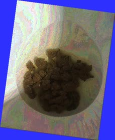 thumbnail of UsFAo.jpg