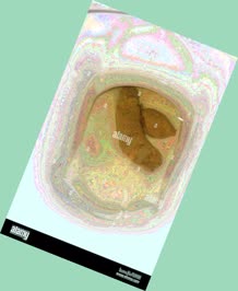 thumbnail of nNDjWm8s2IwT0cp.jpg