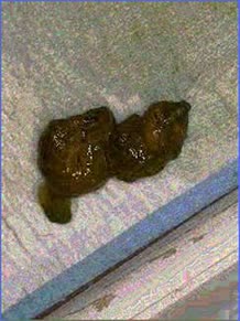 thumbnail of 8NJVbes5y1pN3tqsX5.jpg
