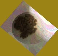 thumbnail of 1KVrbqwXi.jpg