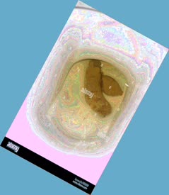 thumbnail of pBfCPzFZNxjrYtol0.jpg