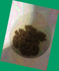 thumbnail of 5IX3NVBZ8Ko5TX.jpg