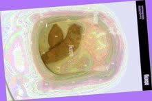 thumbnail of GKk3Vj.jpg