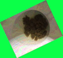 thumbnail of 5QJcNOKdfz39.jpg