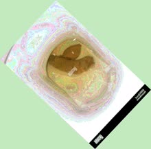 thumbnail of zia4RYg.jpg