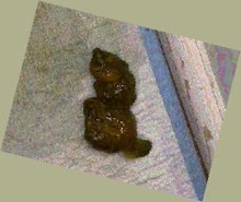 thumbnail of b4he3F7wT8D2mRvC4.jpg