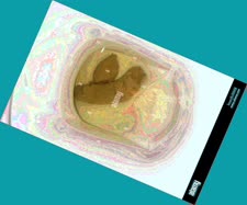 thumbnail of Ew32cMJgk6CkDkml.jpg