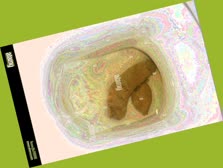 thumbnail of ik6i2dZaekGVK.jpg