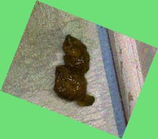 thumbnail of uCzulXj6nGYt.jpg
