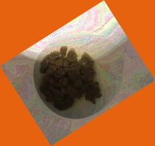 thumbnail of F4QJOMwOkDeIBSovvk0.jpg